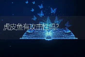 虎皮鱼有攻击性吗？