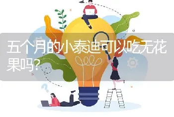 五个月的小泰迪可以吃无花果吗？