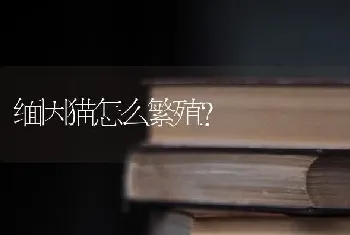 蓝眼睛的狗有哪些？