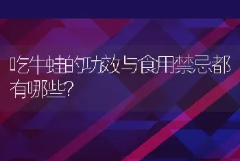 吃牛蛙的功效与食用禁忌都有哪些？