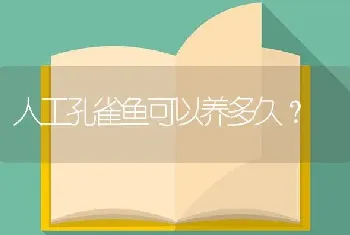 反游猫鱼为什么不建议养？