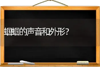 蝈蝈的声音和外形？