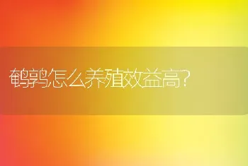 鹌鹑怎么养殖效益高？