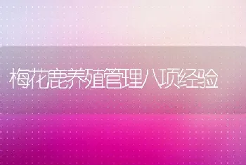 梅花鹿养殖管理八项经验