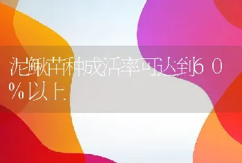 泥鳅苗种成活率可达到60%以上