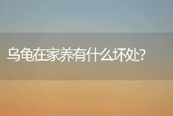 乌龟在家养有什么坏处？