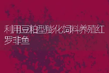 利用豆粕型膨化饲料养殖红罗非鱼