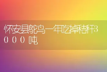 怀安县鸵鸟一年吃掉秸秆3000吨