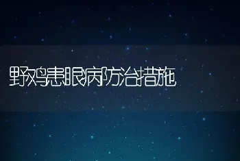 野鸡患眼病防治措施