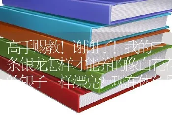 红绿灯鱼是不是非常不好养啊！我每次买二十条不到四天就死一半？