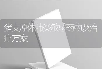 猪支原体肺炎敏感药物及治疗方案