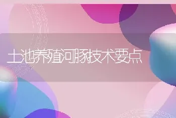 土池养殖河豚技术要点