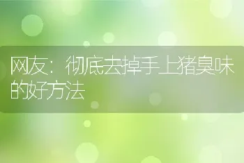 网友：彻底去掉手上猪臭味的好方法