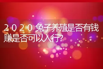 2020兔子养殖是否有钱赚是否可以入行？