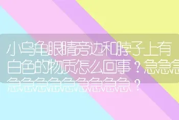 小乌龟眼睛旁边和脖子上有白色的物质怎么回事？急急急急急急急急急急急急？