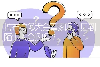 拉布拉多犬会看家吗?见到陌生人会吼吗？