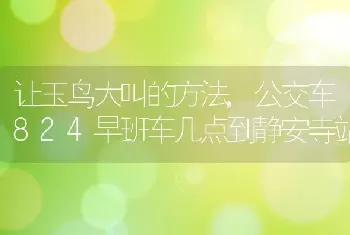 让玉鸟大叫的方法，公交车824早班车几点到静安寺站