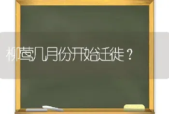 柳莺几月份开始迁徙？