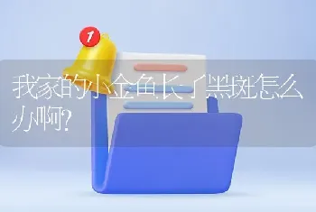 潮汕红条叫什么？