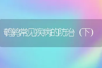 鹌鹑常见疾病的防治（下）