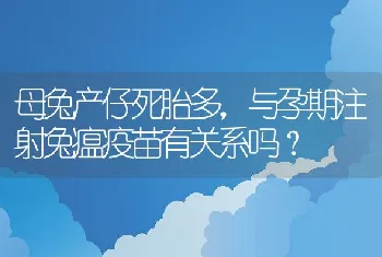 母兔产仔死胎多，与孕期注射兔瘟疫苗有关系吗？