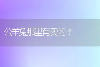 蓝牛法斗掉毛吗？