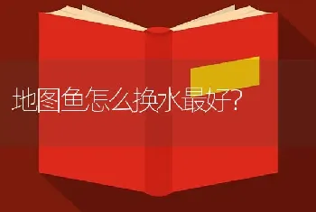 地图鱼怎么换水最好？