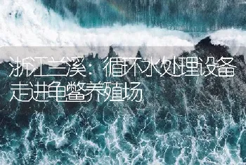 浙江兰溪：循环水处理设备走进龟鳖养殖场