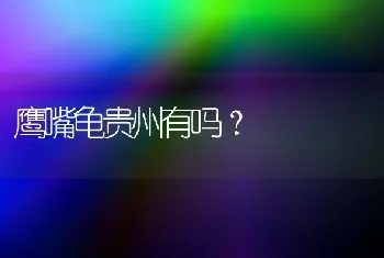 鹰嘴龟贵州有吗？