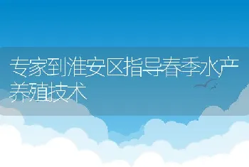 专家到淮安区指导春季水产养殖技术