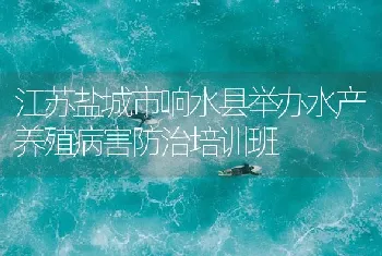 江苏盐城市响水县举办水产养殖病害防治培训班