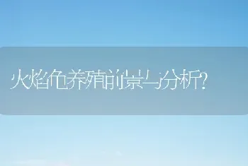 火焰龟养殖前景与分析？