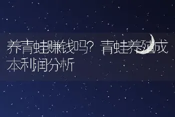 养青蛙赚钱吗？青蛙养殖成本利润分析