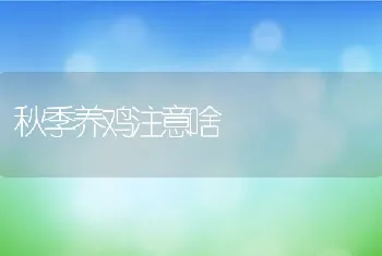 秋季养鸡注意啥