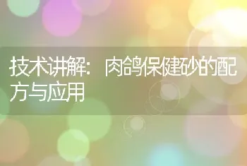 技术讲解:肉鸽保健砂的配方与应用