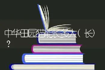 中华田园猫能长多大(长)？