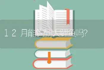 12月能钓到大鲤鱼吗？