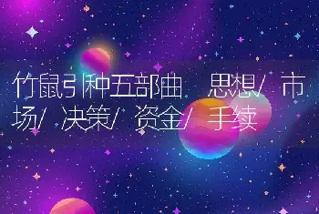 竹鼠引种五部曲 思想/市场/决策/资金/手续