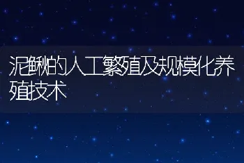 泥鳅的人工繁殖及规模化养殖技术