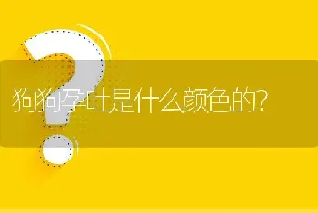 狗狗孕吐是什么颜色的？