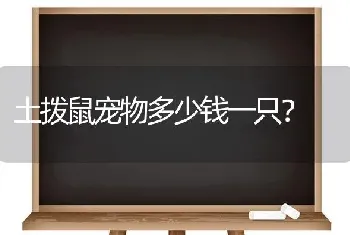 拉布拉多什么颜色才是纯种的？