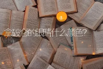 拿破仑的眼睛什么颜色？