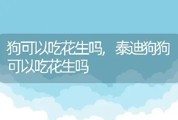 狗可以吃花生吗，泰迪狗狗可以吃花生吗