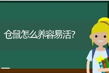 仓鼠怎么养容易活？