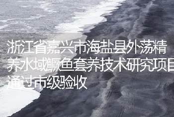 浙江省嘉兴市海盐县外荡精养水域鳜鱼套养技术研究项目通过市级验收