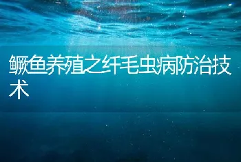 鳜鱼养殖之纤毛虫病防治技术