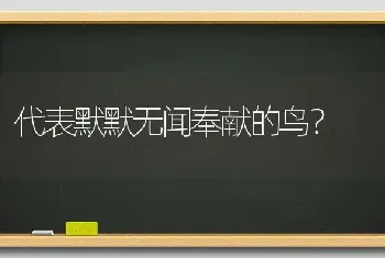 代表默默无闻奉献的鸟？