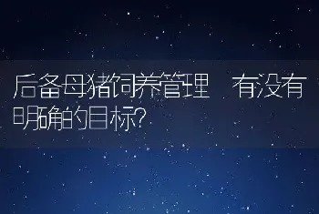 后备母猪饲养管理有没有明确的目标？