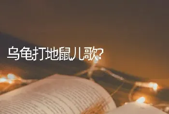 乌龟打地鼠儿歌？