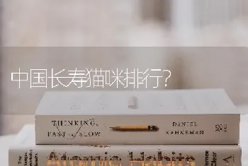 中国长寿猫咪排行？